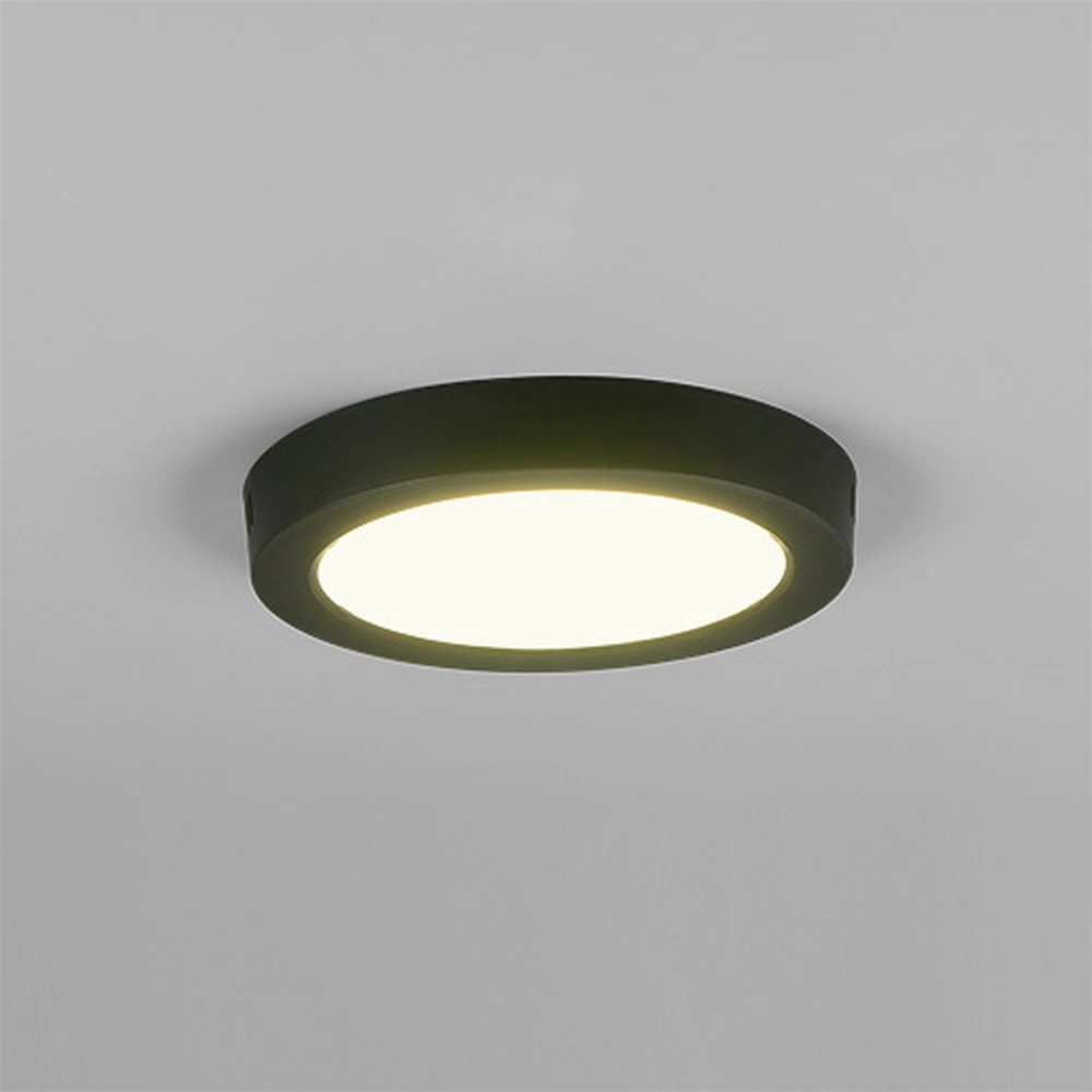 Lampe de plafond Laru Ø 21,5 cm noir Trio 4017807711523