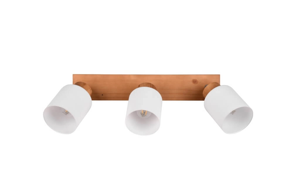 Spot de plafond rural Assam 3 lumières Trio 4017807539813