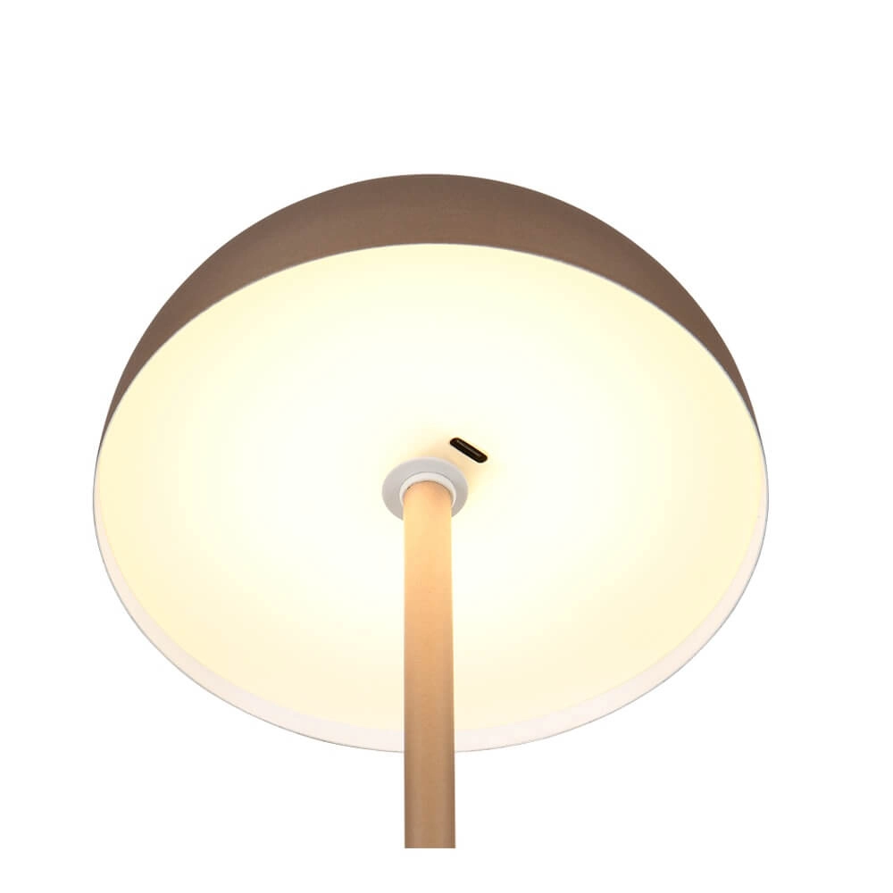 Lampe de table Munoz marron café Ø 13cm Trio 4017807642537