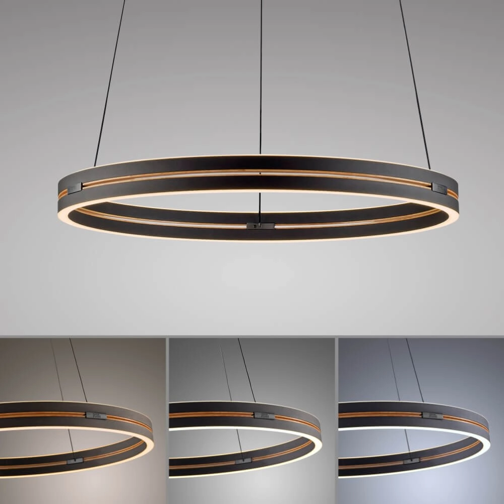 Lampe suspendue élégante Pure E-Loop noir Ø 70cm Paul Neuhaus 4012248384336