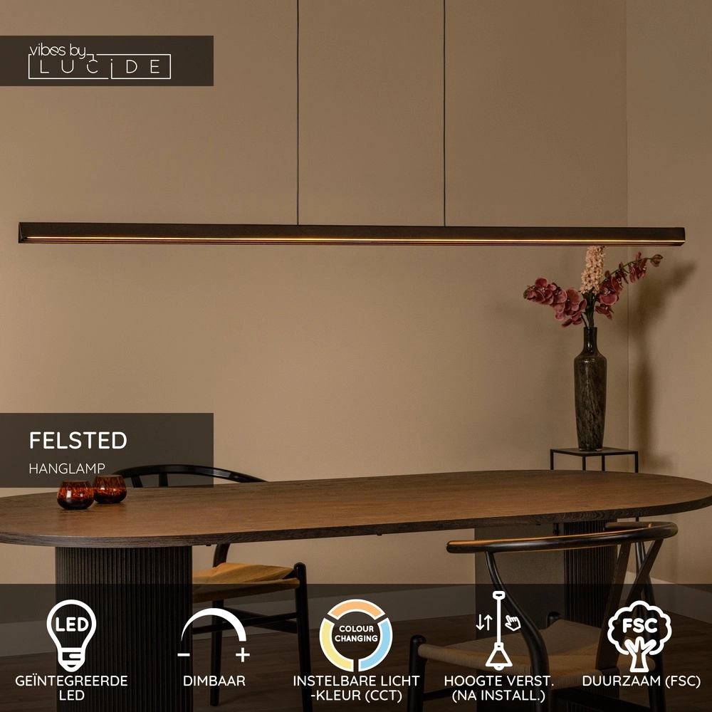 Lampe pendante de conception Felsted noir 180cm Lucide Vibes 5411212011077