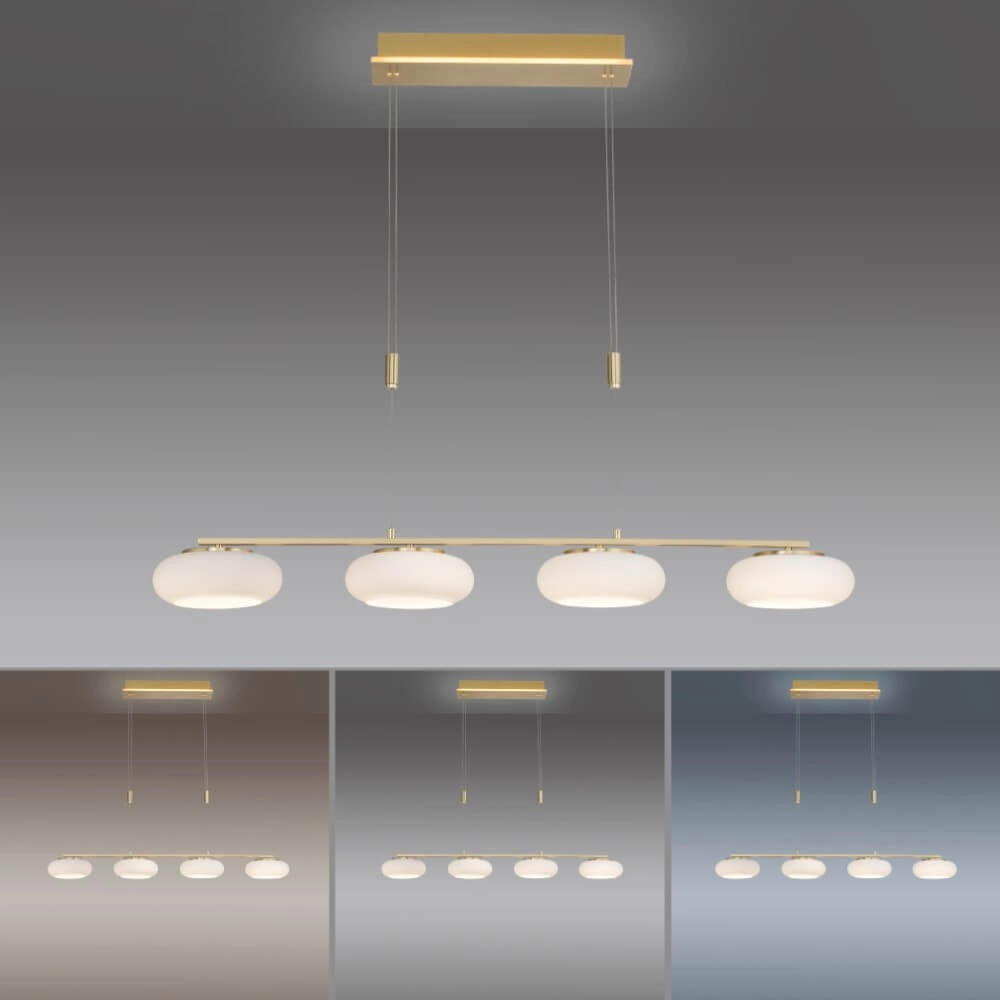 Lampe suspendue 4 lumières Q-Etienne en laiton droit Paul Neuhaus 4012248350478