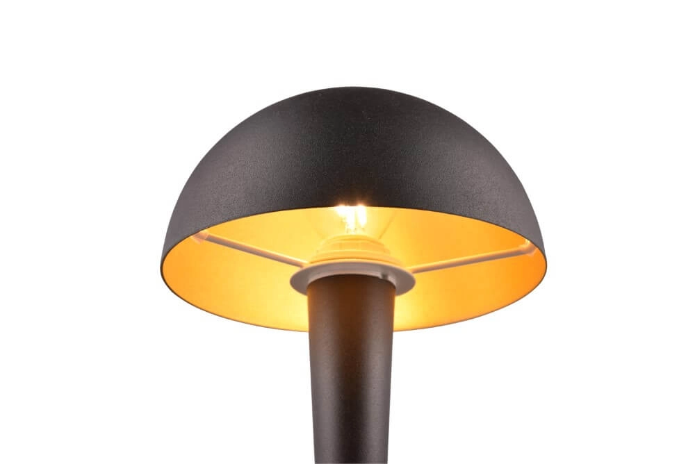 Lampe de table en or noir Canaria conception Trio 4017807574937