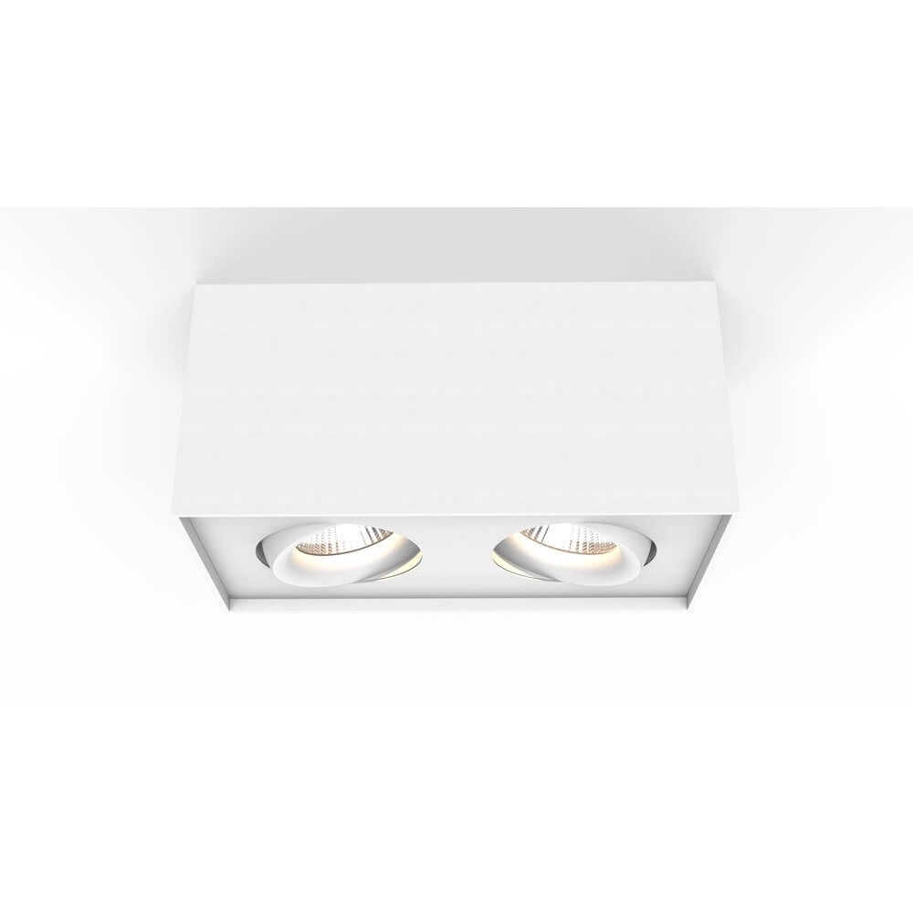 Spot double LED apparent Iblocc blanc Lyora 4255805301425