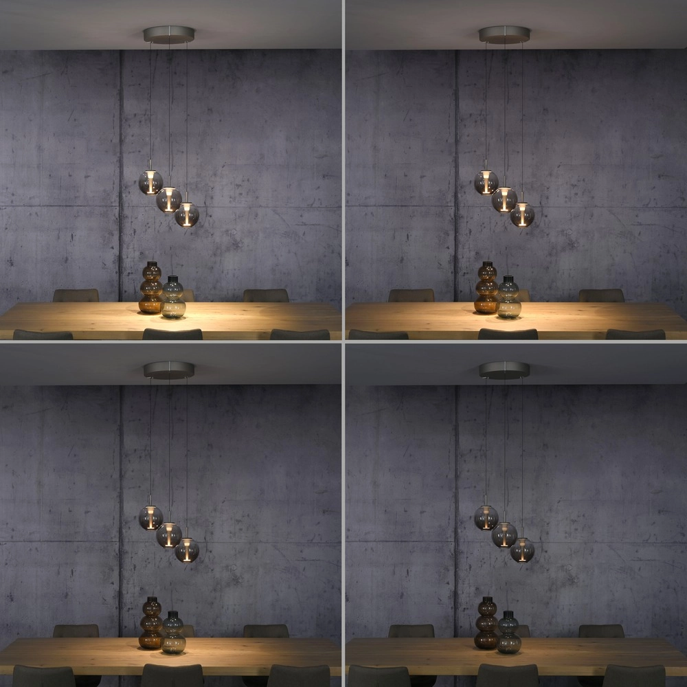 Lampe pendante Vide Pure E-Infinty Bronce avec verre ambré Paul Neuhaus 4012248398166