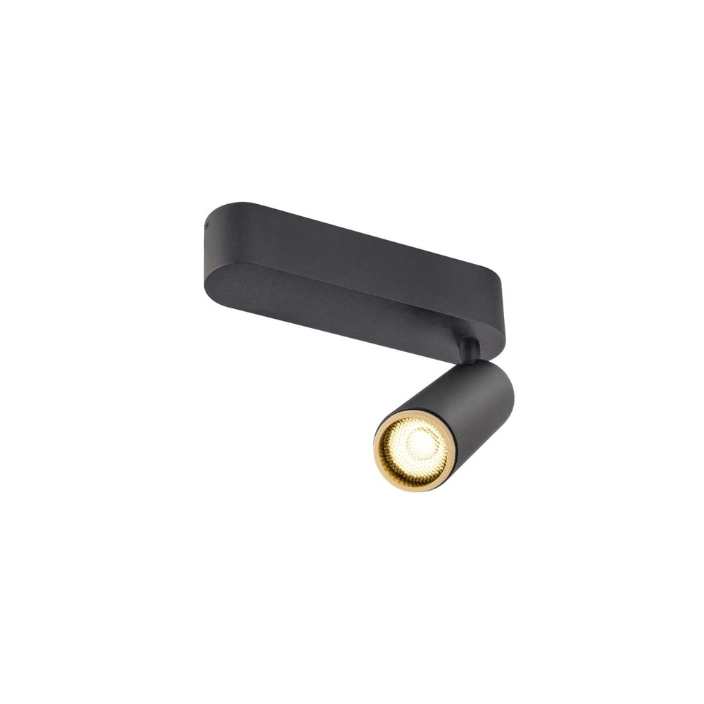 Spot monté en surface Grip! M noir avec or 3000K