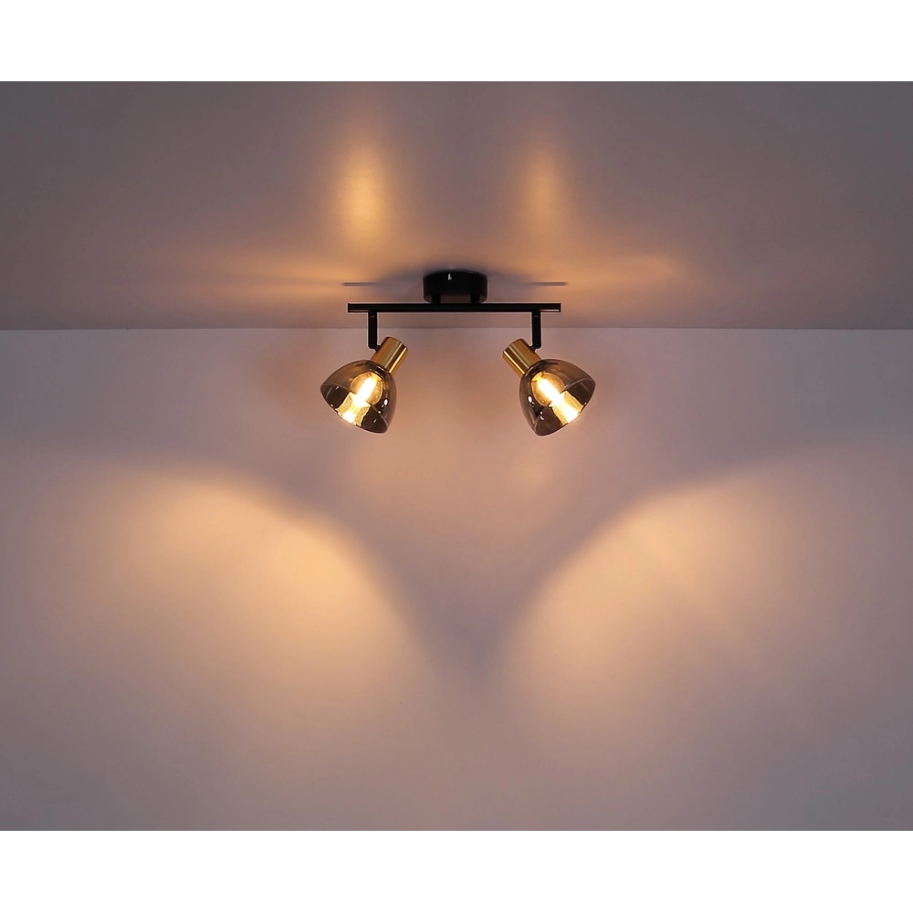 Lampe de plafond à design Jay 2-light noir avec fumée Globo 9007371396399
