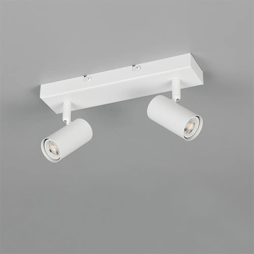 Emplacement monté en surface Taryn Blanc à deux lumières Trio 4017807685565