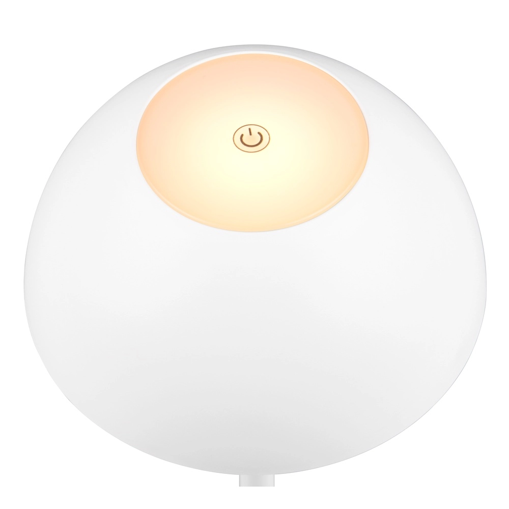 Lampe de table Ricardo blanc Ø 13,5cm Trio 4017807601787