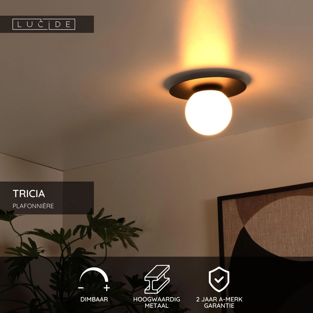 Lampe de plafond Tricia Noir avec sphère blanche Lucide 5411212791993