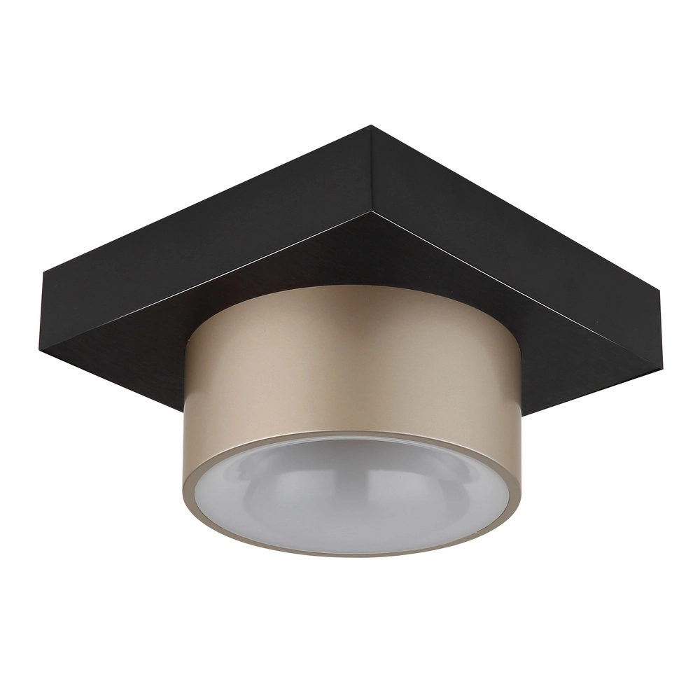 Lampe de plafond Raymond noir avec du champagne Globo 9007371569373