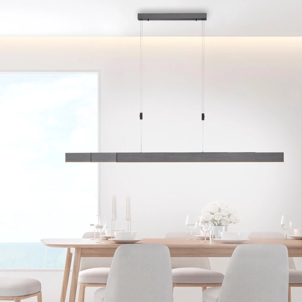 Lampe suspendue LED Pure-Moto anthracite brossé Paul Neuhaus 4012248363751