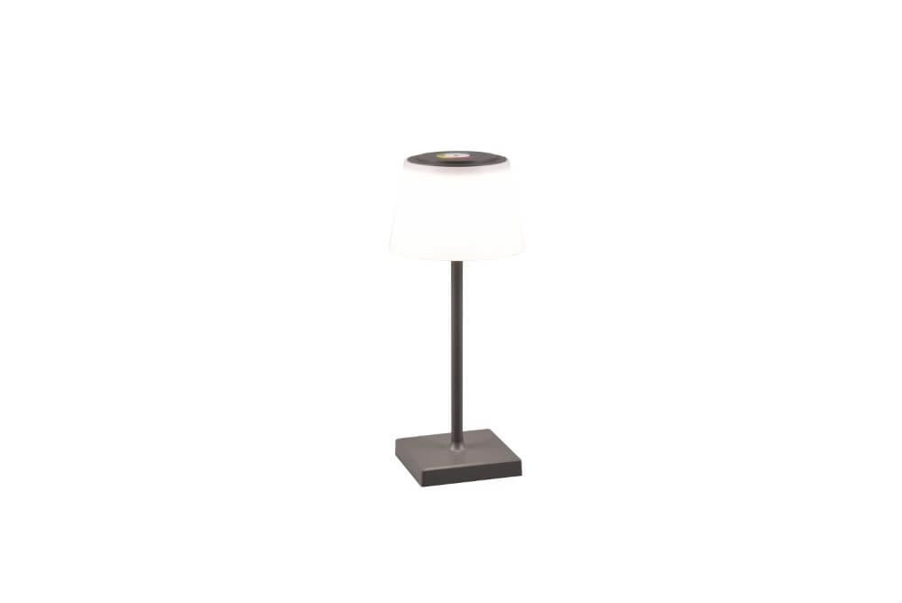 Lampe de table rechargeable Sanchez anthracite Trio 4017807570595