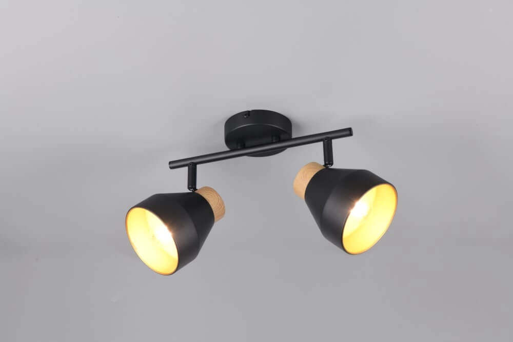 Plafonnier design 2 lumières Valentin noir Trio 4017807637410