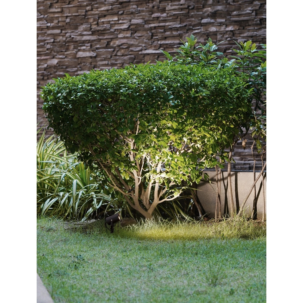 Tache de pointe Kimiko anthracite Lyora 5212017438232