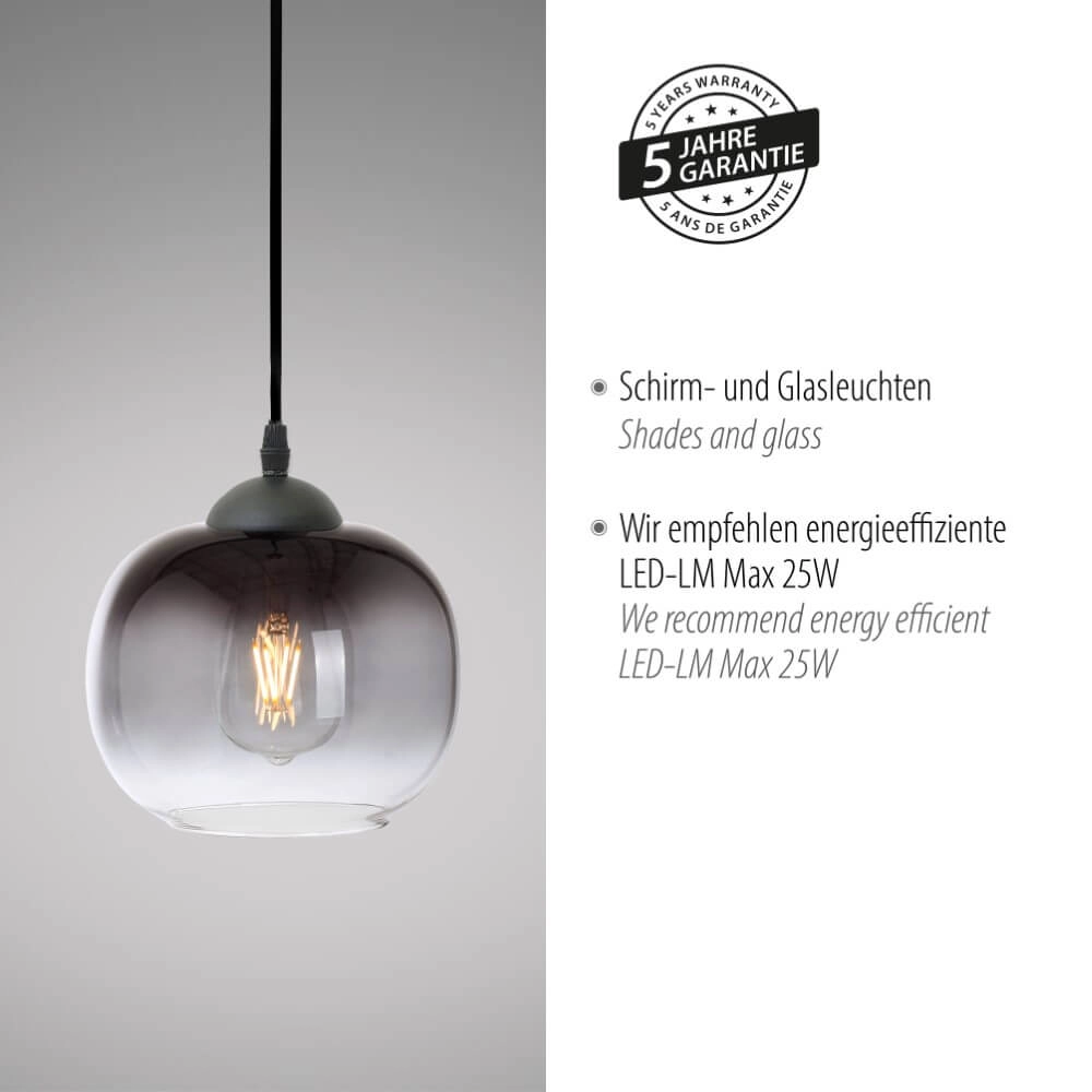 Lampe suspendue noire Zea célibataire Just Light 4043689993740