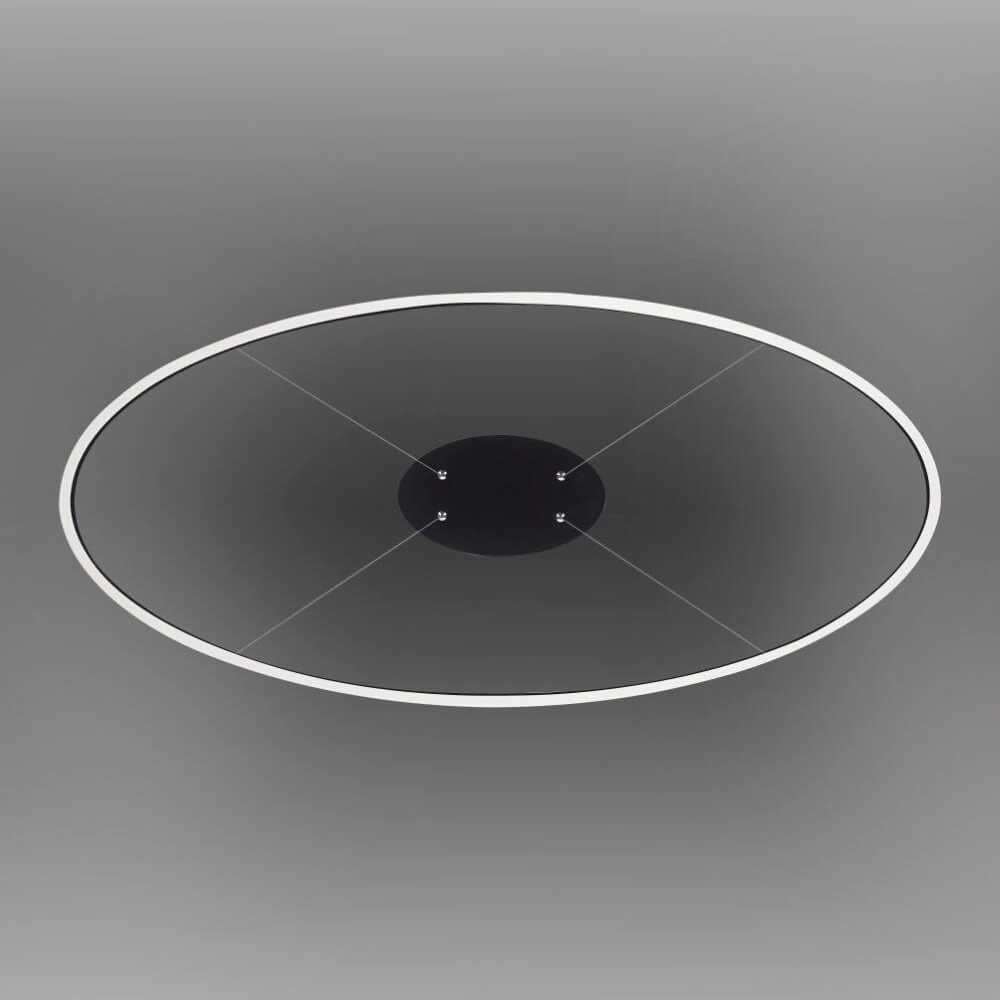 Lampe à suspension anthracite Titus Ø 118 cm Paul Neuhaus 4012248375228