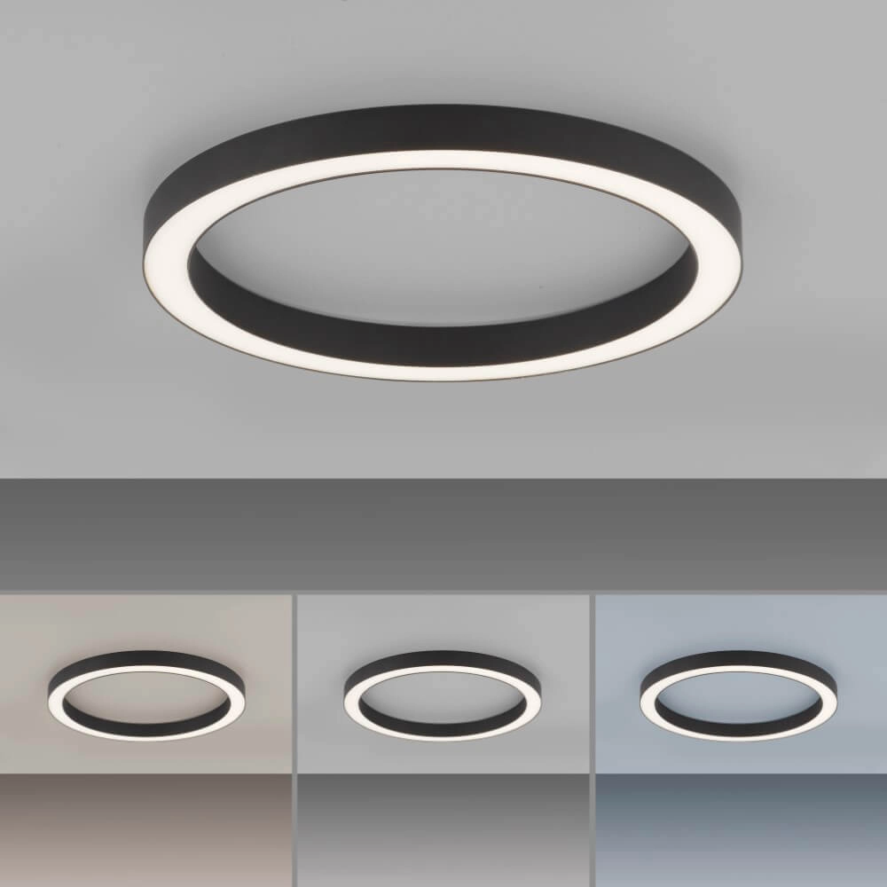 Lampadaire rond Pure Lines Round Ø 50 cm anthracite Paul Neuhaus 4012248375853