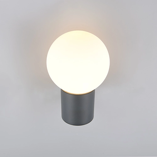 Lampe murale en sphérie Mures anthracite Trio 4017807687187