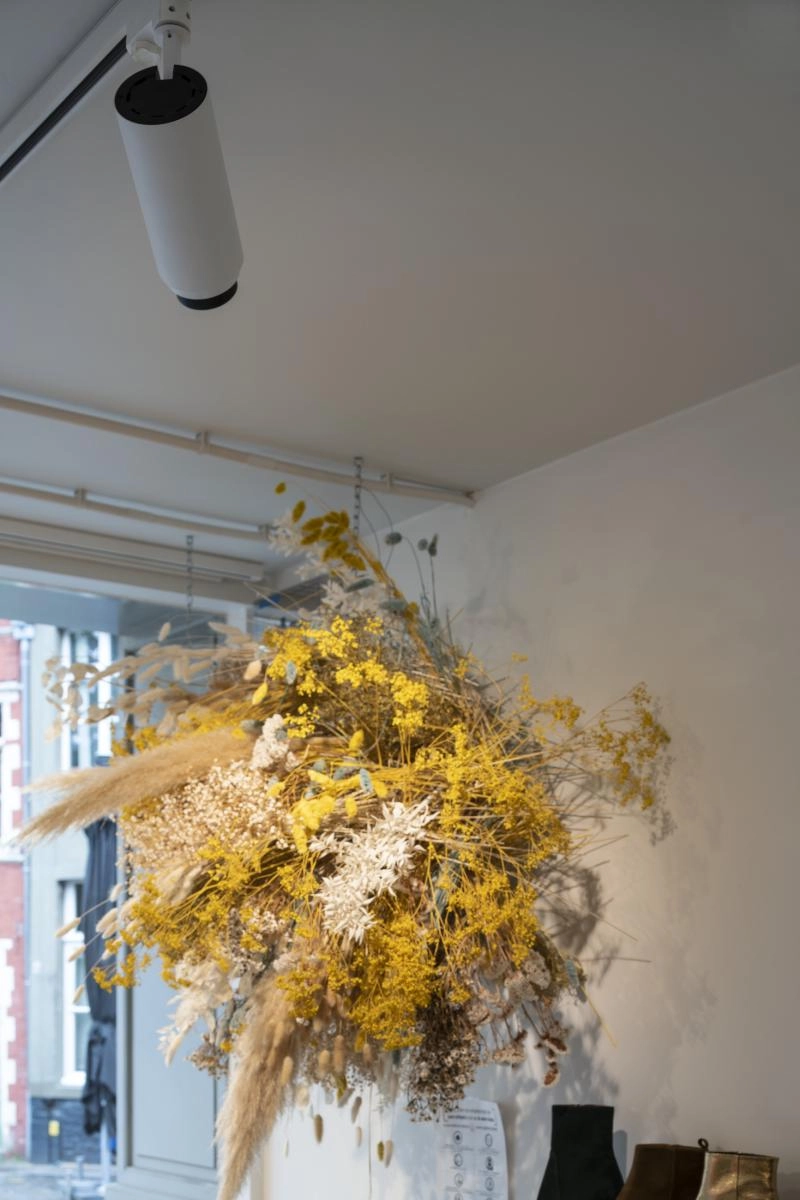 Railspot 3-phasé Numinos Zoom M blanc/noir 3000K - 15 deg SLV 4024163262026