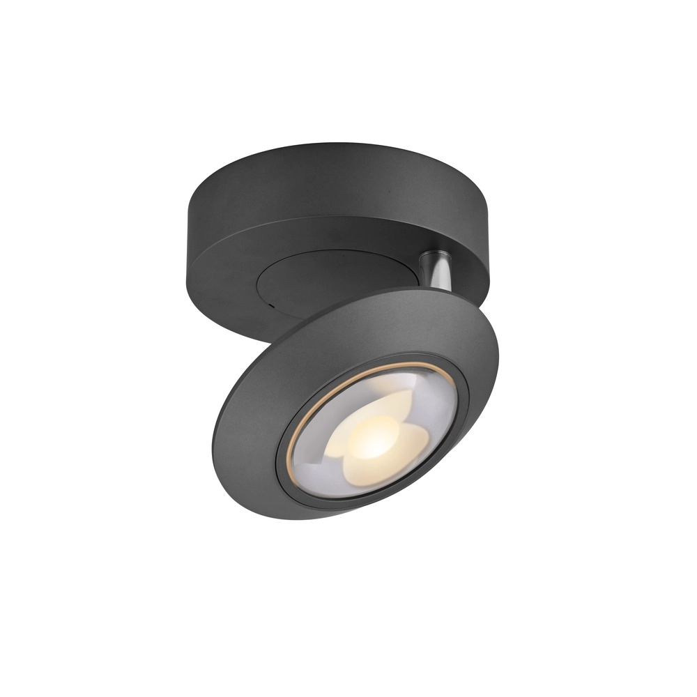 Spot LED au plafond Pure Oculis Black Pearl Paul Neuhaus 4012248397053