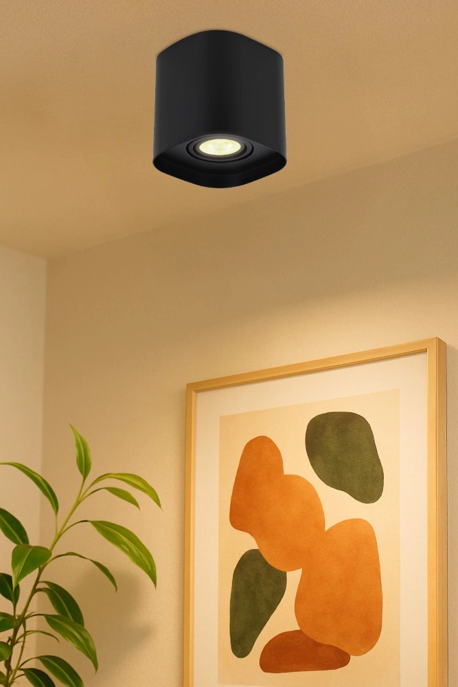 Spot apparent noir Arenzano cheville Eglo 9002759310974