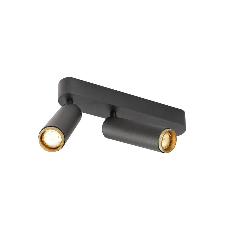 Spot monté en surface Grip! M 2 lumières noir 2700K