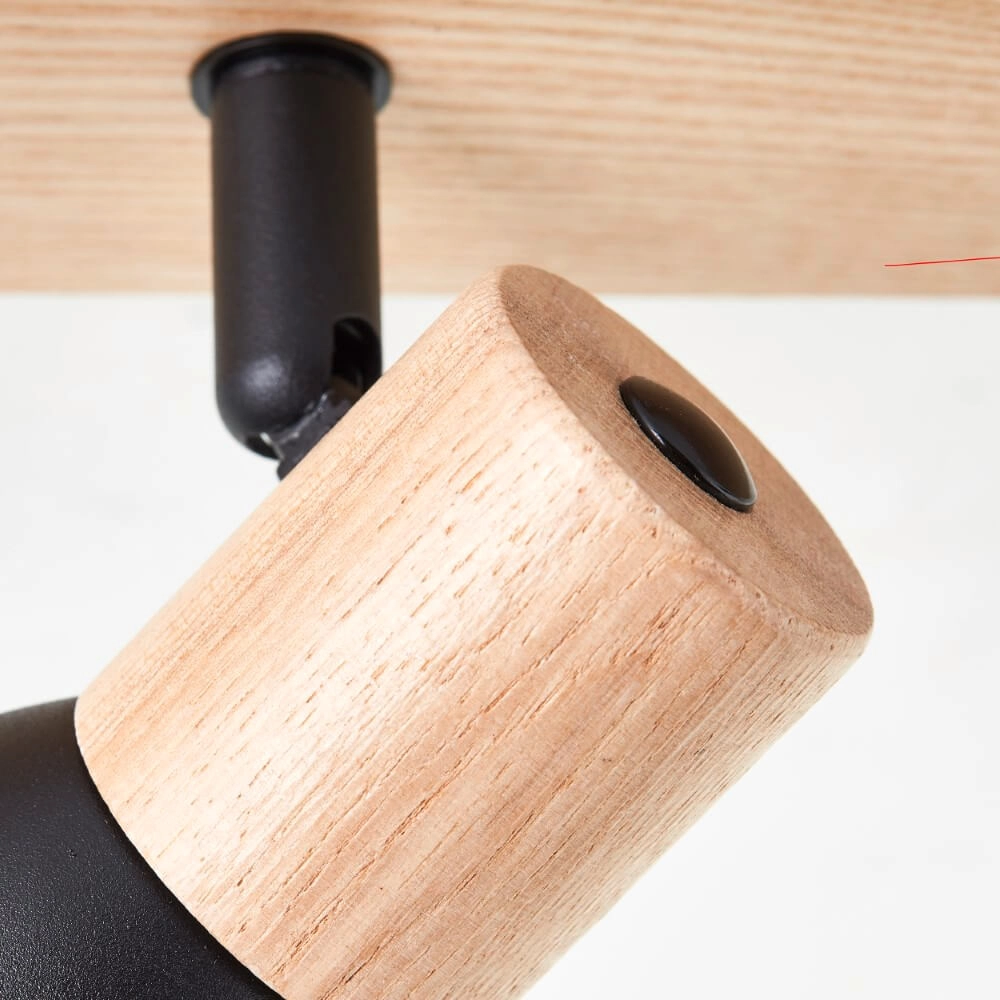 Plafonnier Daintree 2 lumières noir Brilliant 4004353408670