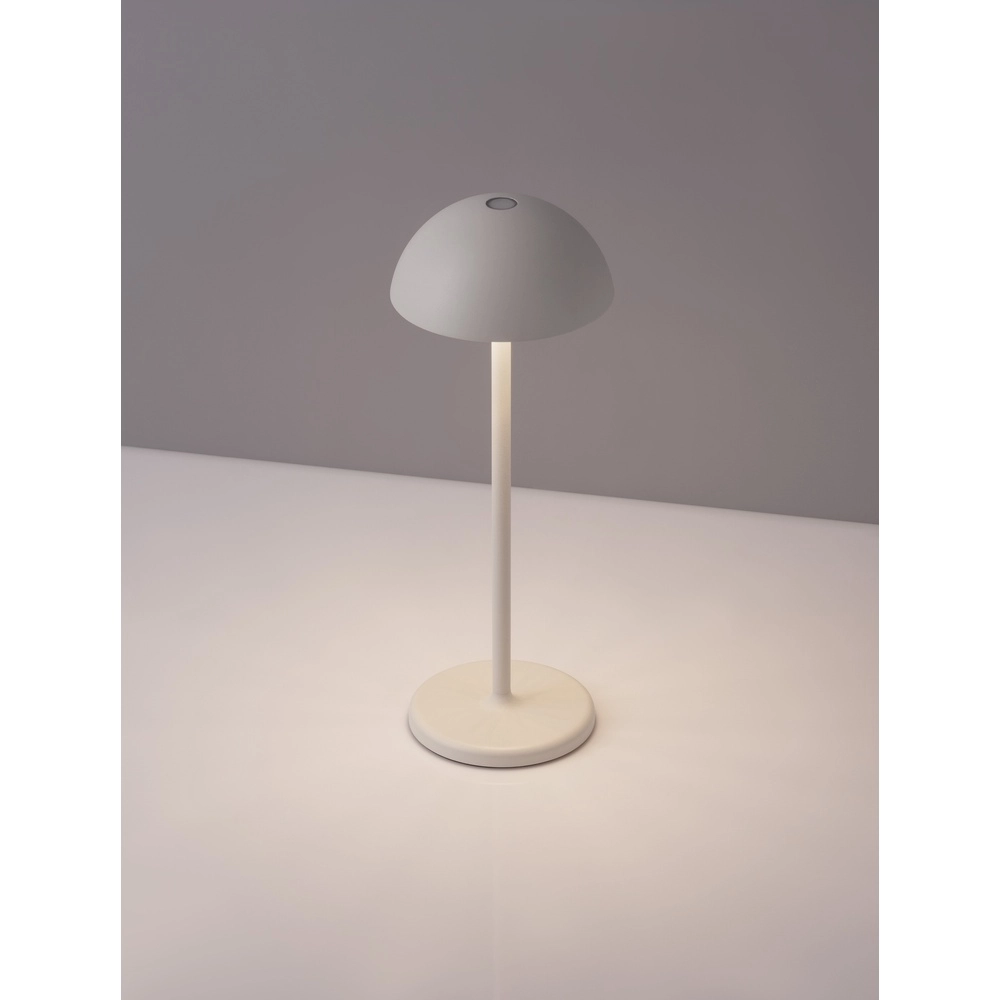 Lampe de table noire Rose blanc
