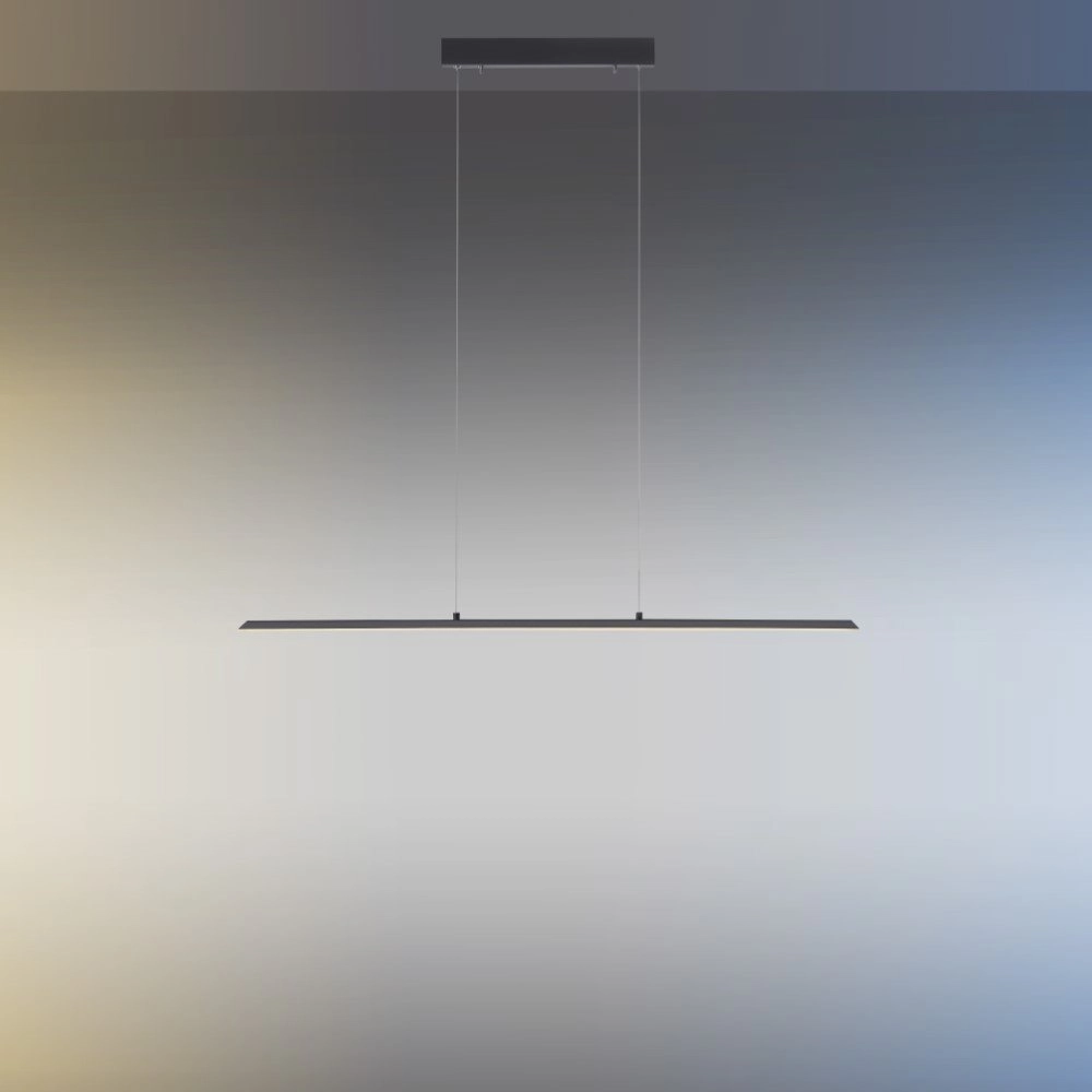Lampe suspendue design Pure Lite 100 cm anthracite Paul Neuhaus 4012248344873