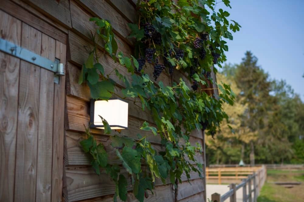 Applique design Doblo anthracite Lutec 6939412012377