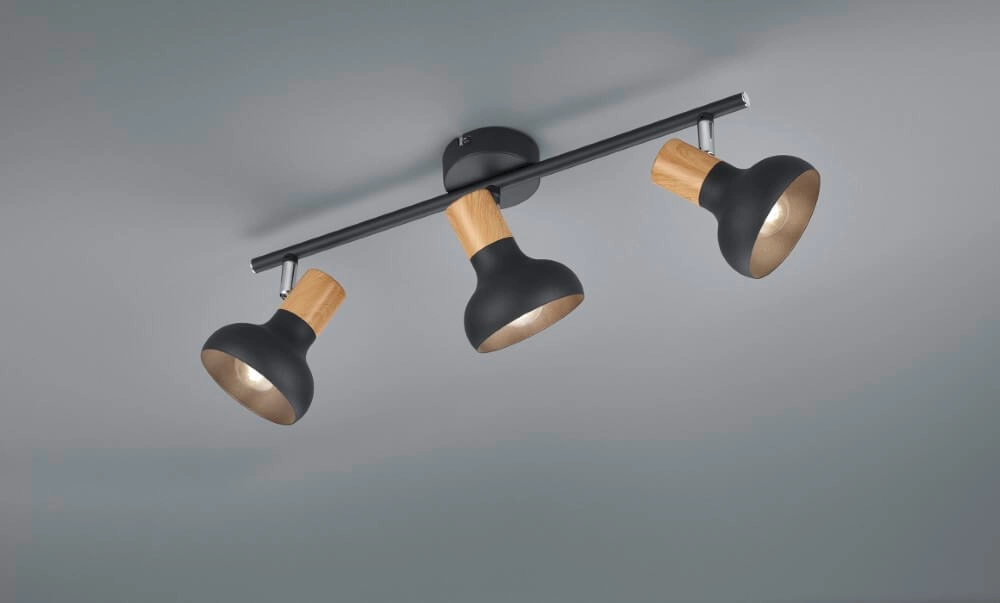 Plafonnier Latika 3 lumières noir Trio 4017807576993