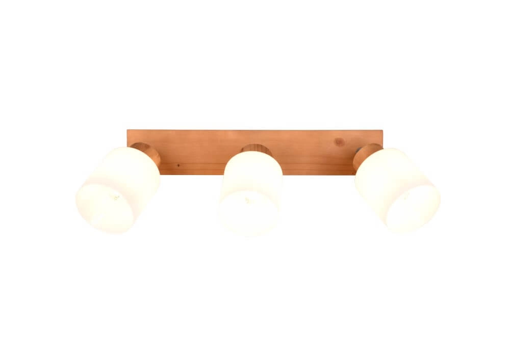 Spot de plafond rural Assam 3 lumières Trio 4017807539813