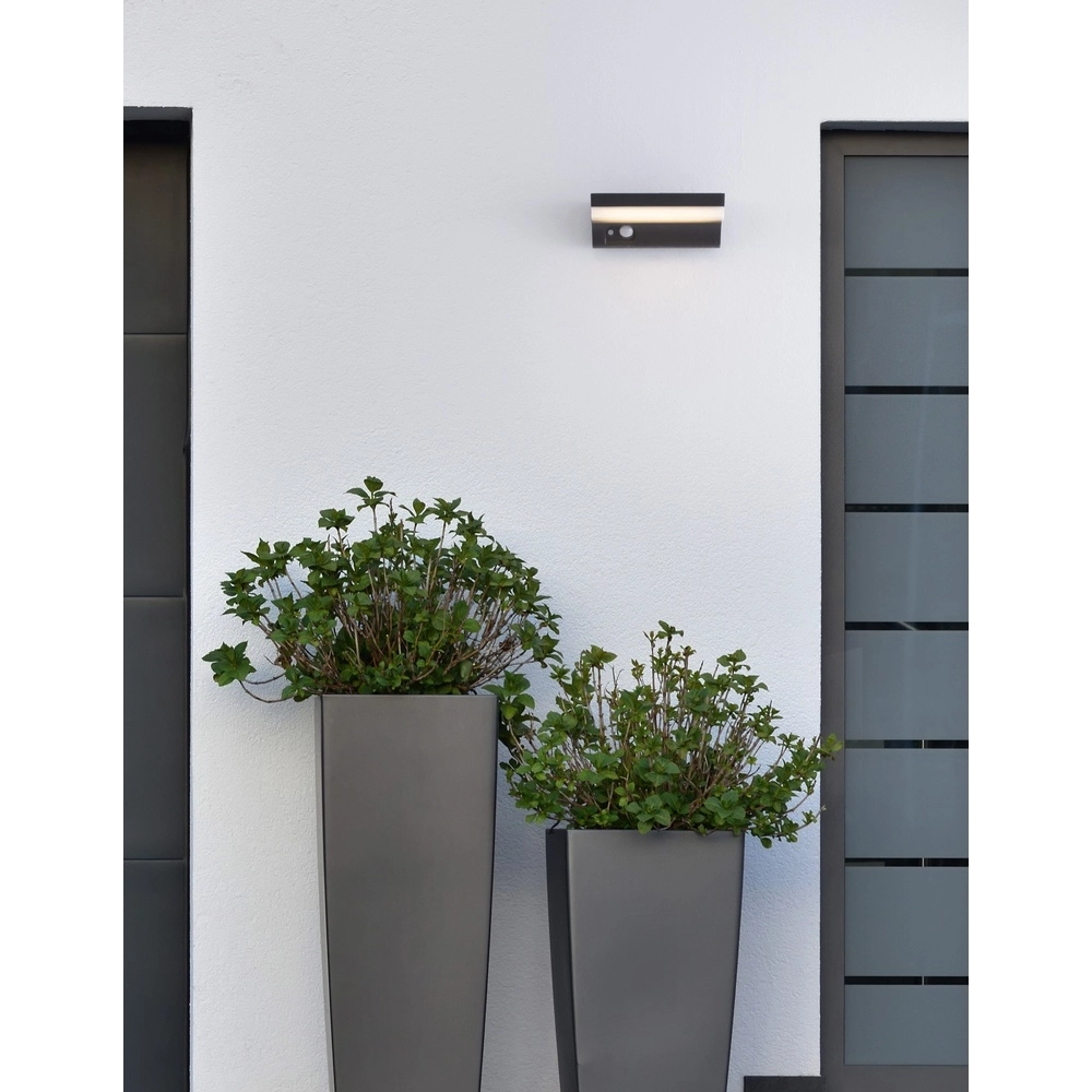 Applique solaire Dyn avec capteur Lyora 5212017425355