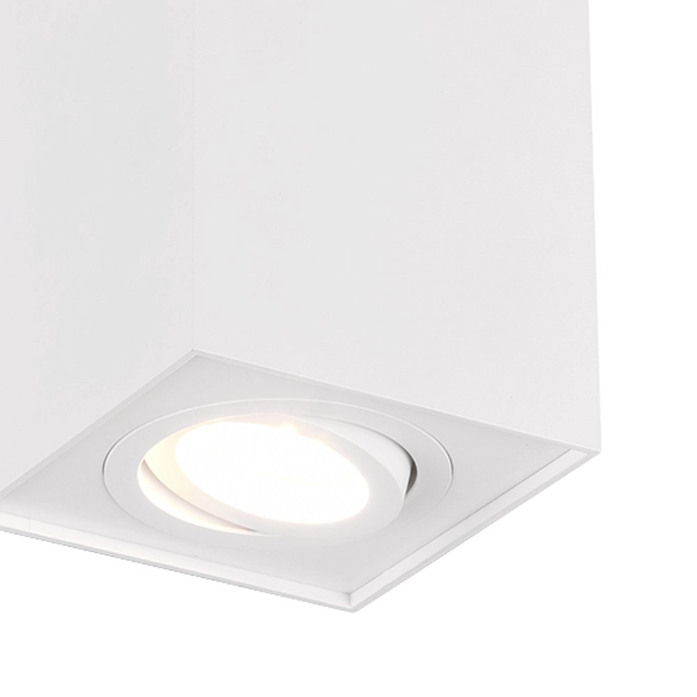 Biscuit Trio 4017807426908