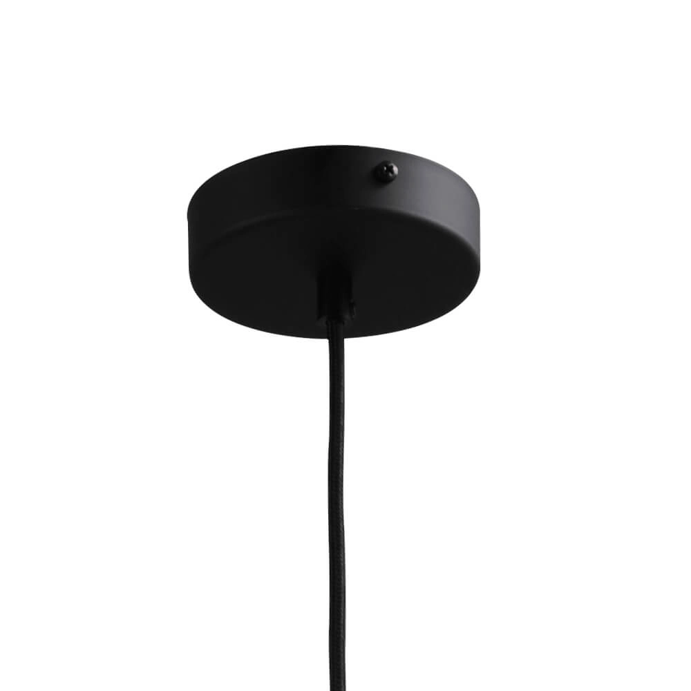 Lampe suspendue Ø 20cm Bella 2 Noir avec verre blanc mat Masterlight 8718121334332