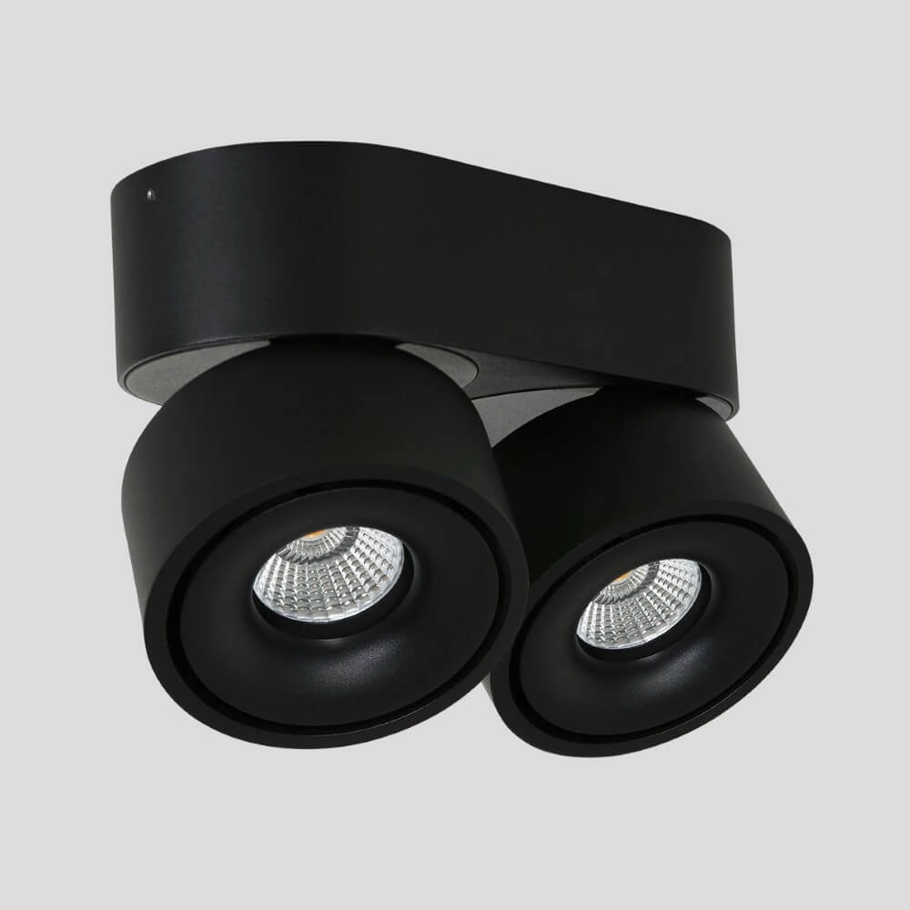 Lampe spot Fez Black 2 lumières noir Steinhauer 8712746132502