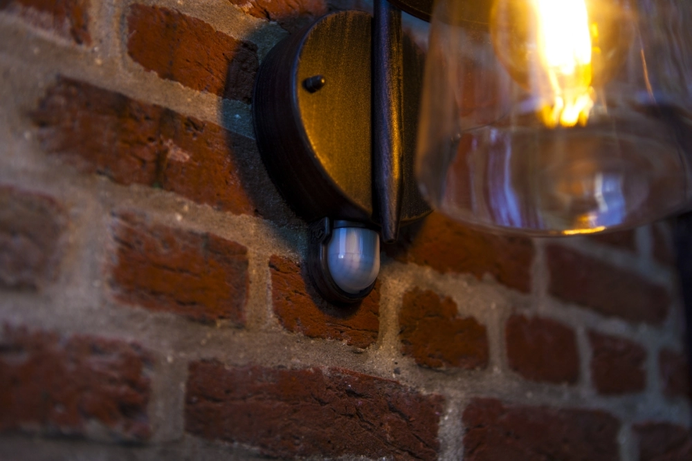 Lampe murale classique Cate PIR avec capteur Lutec 6939412017051