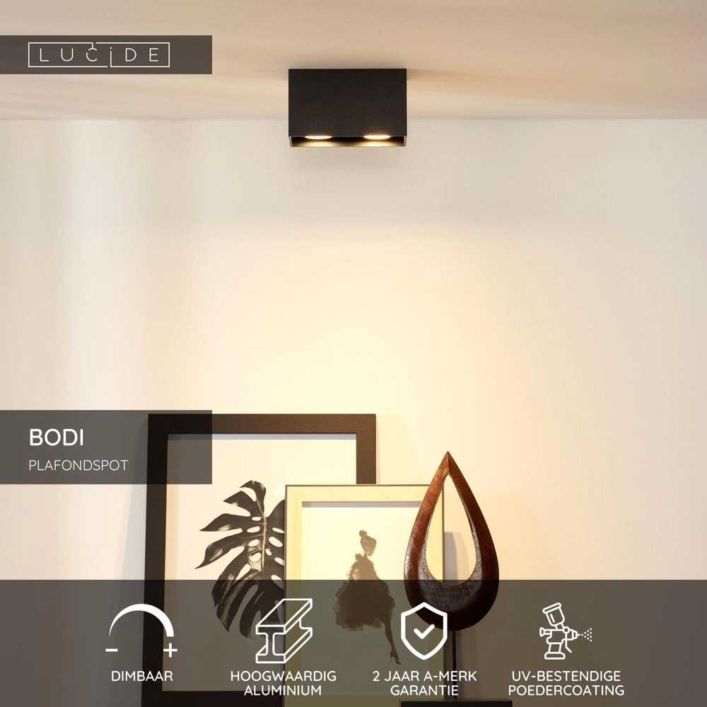Projecteur de plafond Bodi 2-noir clair Lucide 5411212091628