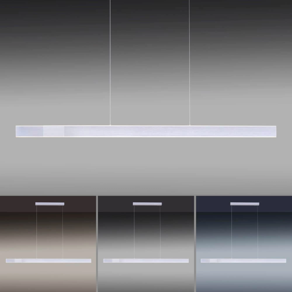 Lampe suspendue élégante Pure Lume aluminium Paul Neuhaus 4012248352212