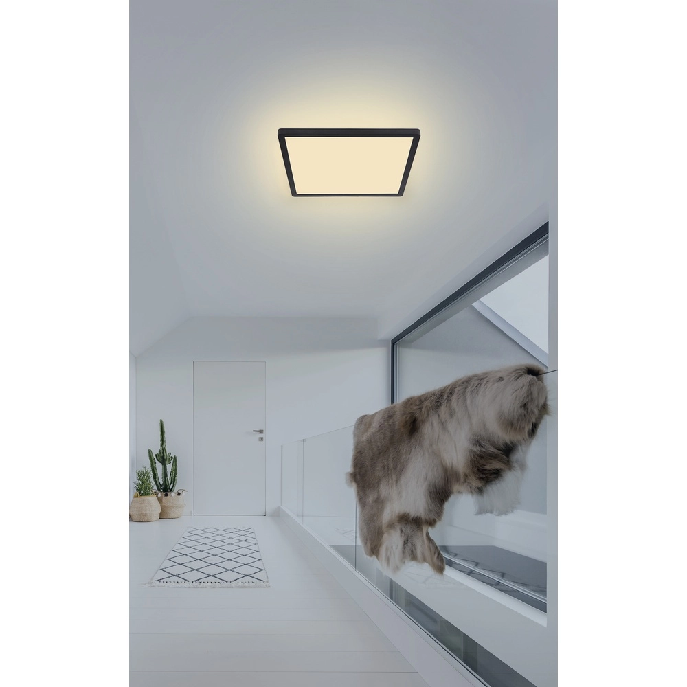 Éclairage de plafond Sapana Carré 29,4 cm Noir Globo 9007371414390