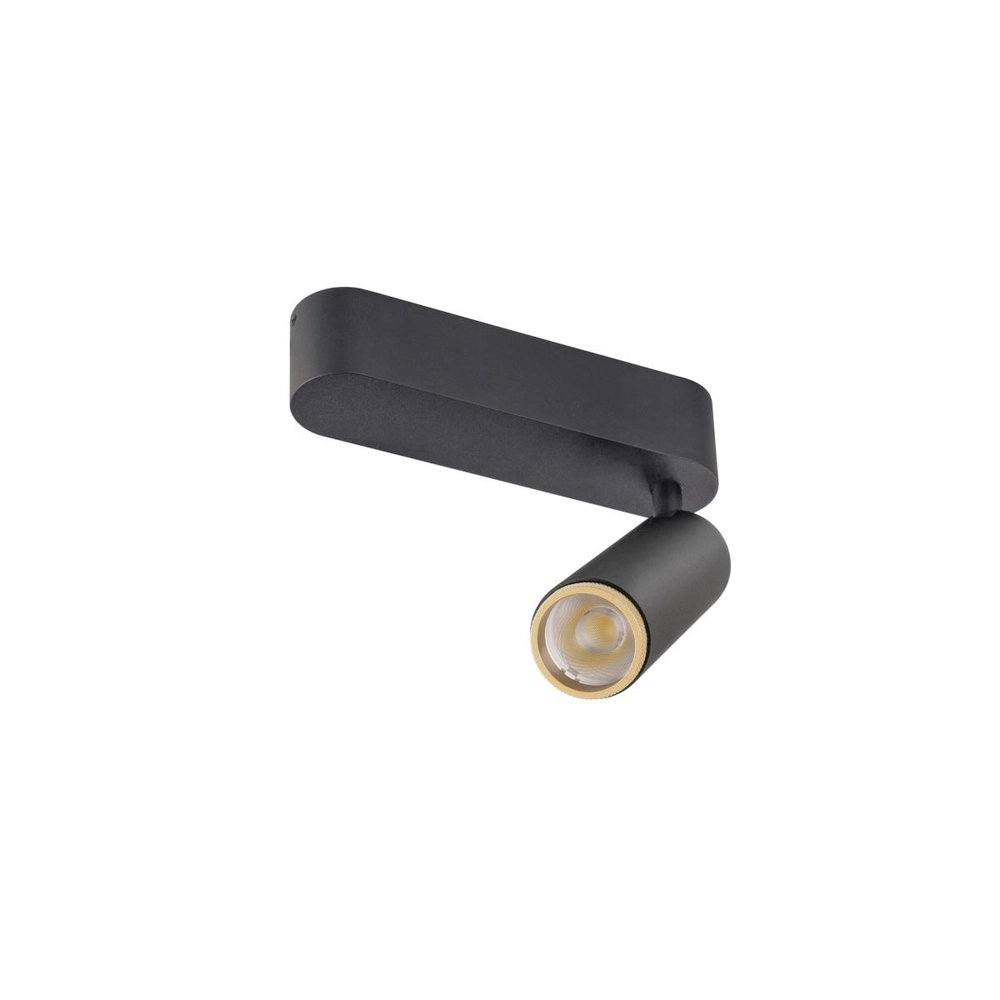 Spot monté en surface Grip! M noir avec or 2700K SLV 4024163304665