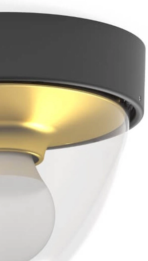 Plafonnier noir Nook avec de l'or à l'intérieur Lyora 5903139797696