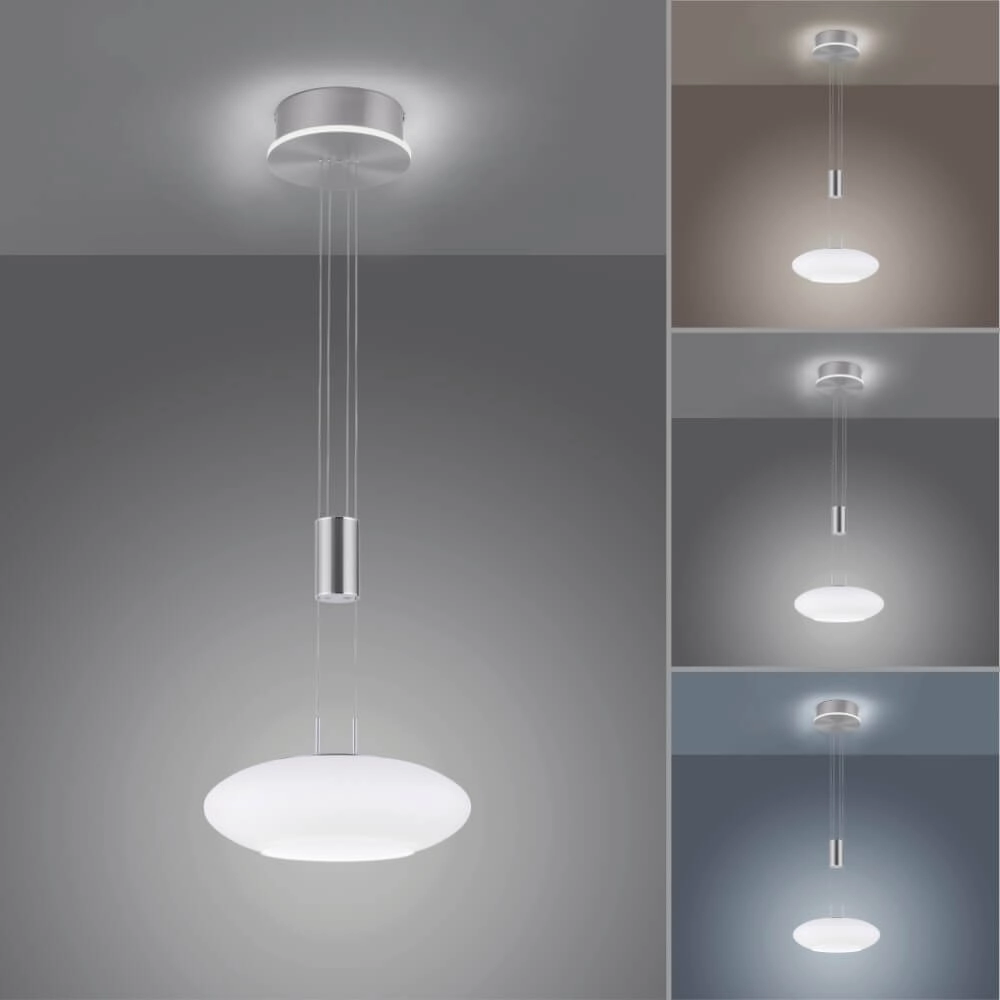 Lampe suspendue design Q-Etienne métal Paul Neuhaus 4012248350386