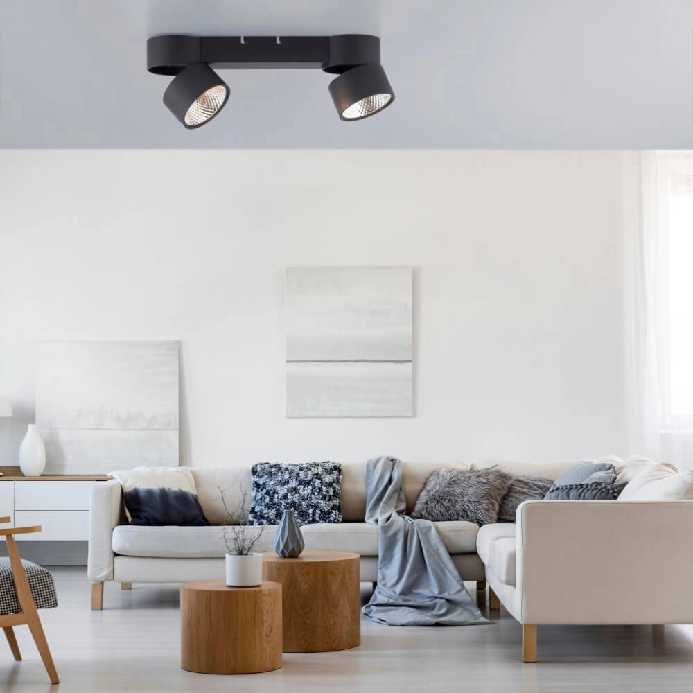 Plafonnier Pure Nola 2 lumières noir Paul Neuhaus 4012248372005