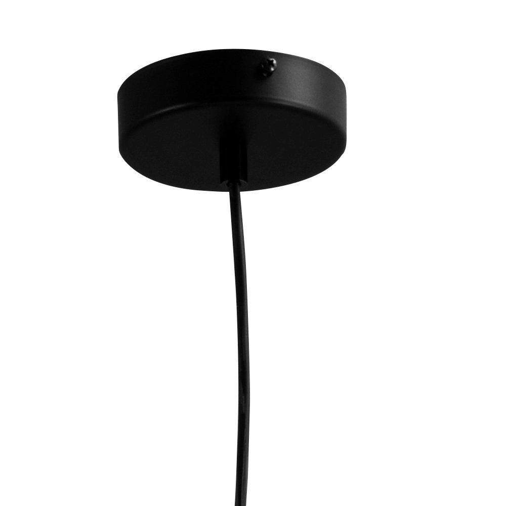 Lampe à suspension Concepto 16 Masterlight 8718121238258