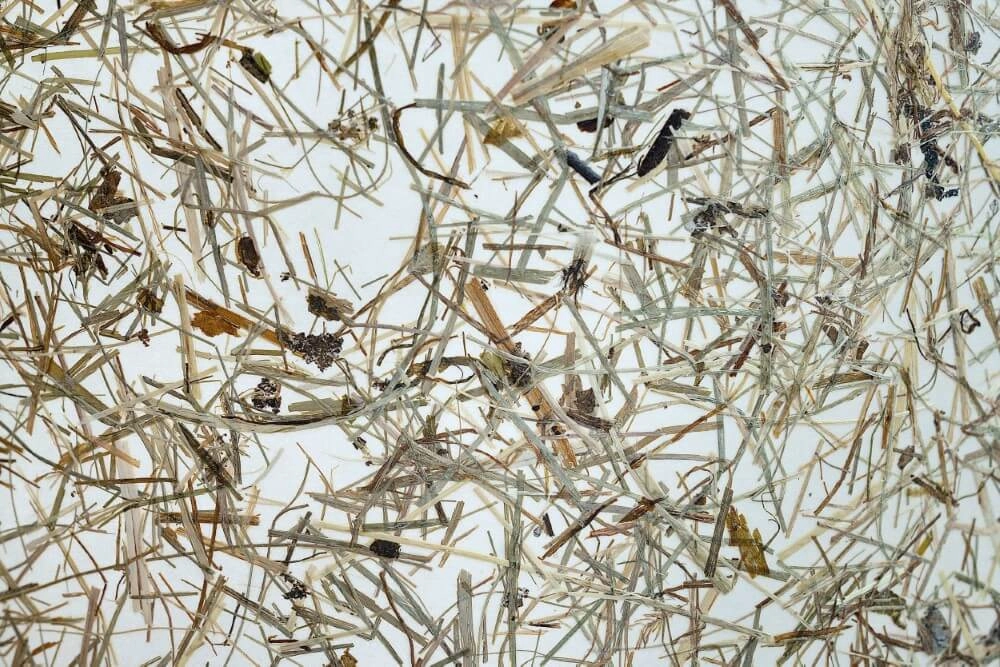 Lampadaire Trépied Hontongas avec de l'herbe tondue Stars of Light 9008606274659