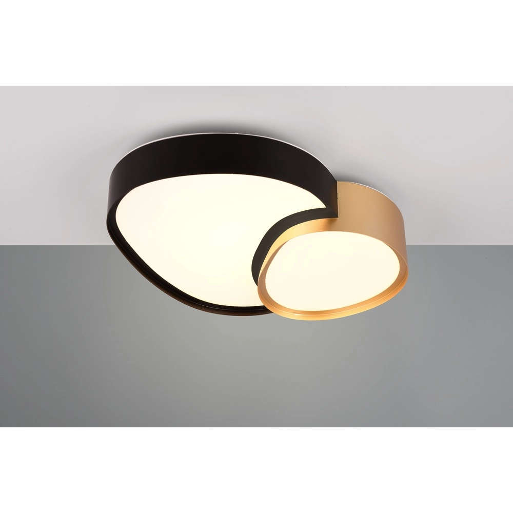 Plafonnier organique Rise 43,5 cm noir avec or Trio 4017807600599