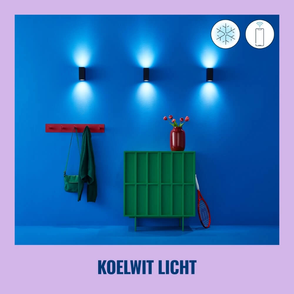 Spot mural Up and Down intelligent - noir WiZ 8719514554610