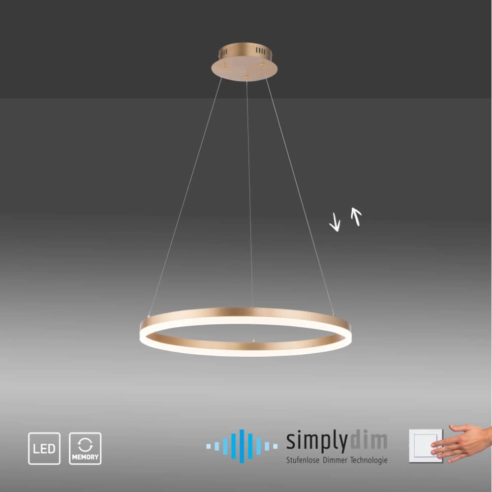 Lampe suspendue moderne Titus Ø 60cm laiton antique Paul Neuhaus 4012248362853